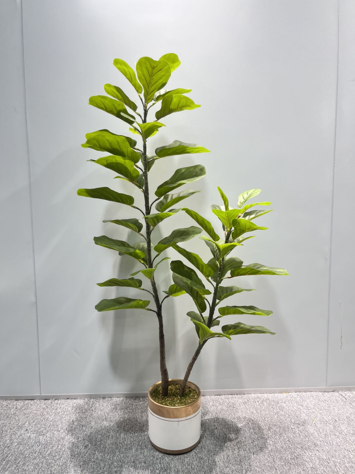 Ficus Lyrata Real-Touch 2-Cane
