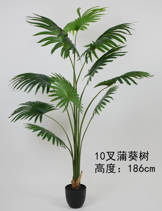 73" Areca Palm Tree 10-Leaves