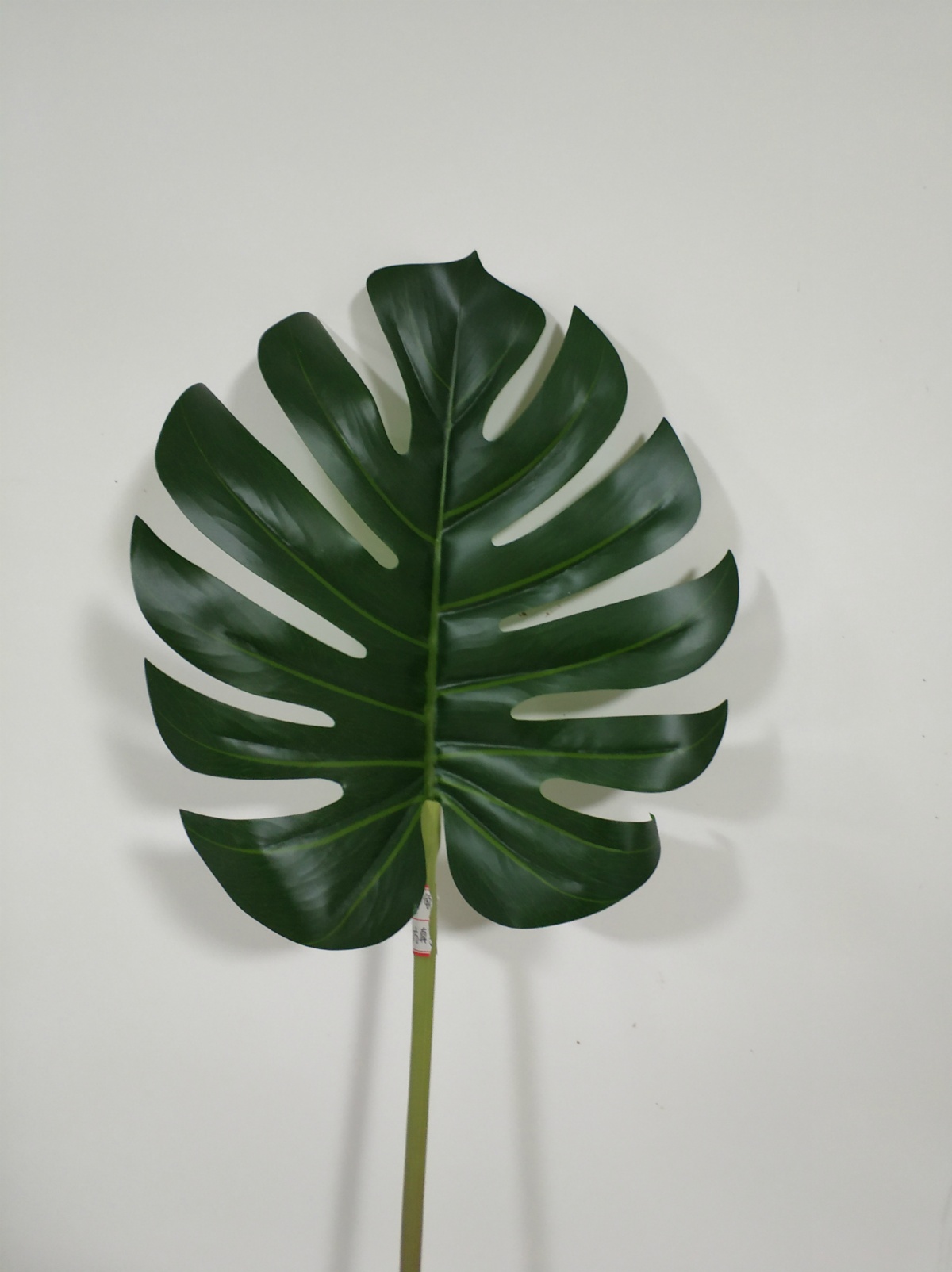 39" Monstera Large Branch Real-Touch