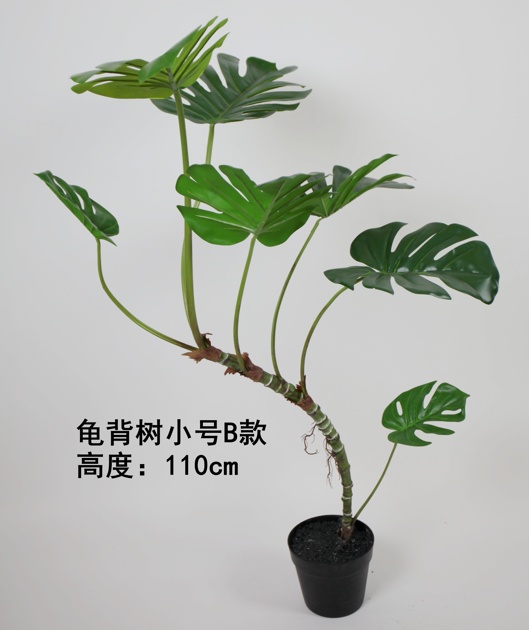 47" Monstera Small B