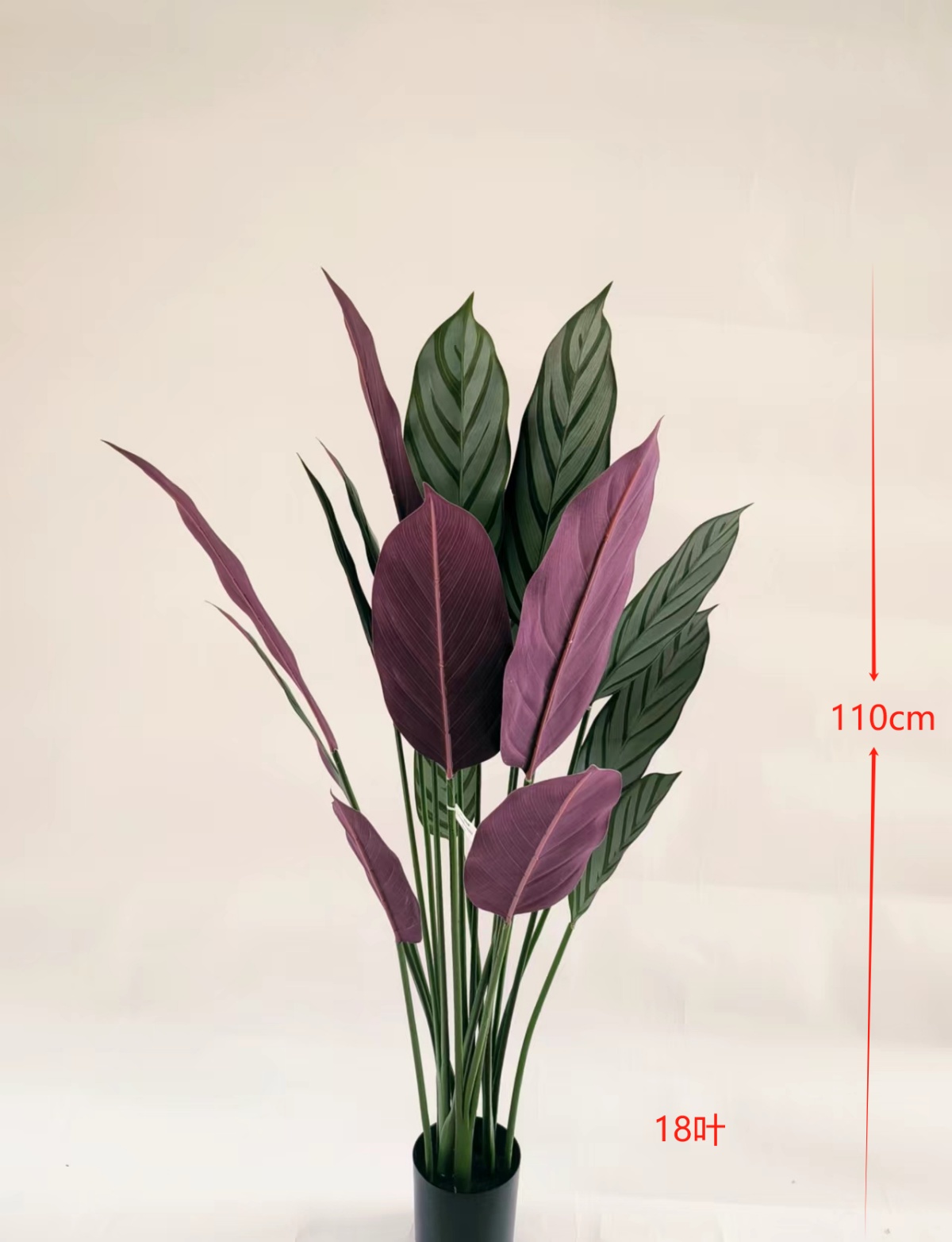 43" Calathea Orbifolia 18-Leaves Real-Touch Bundle