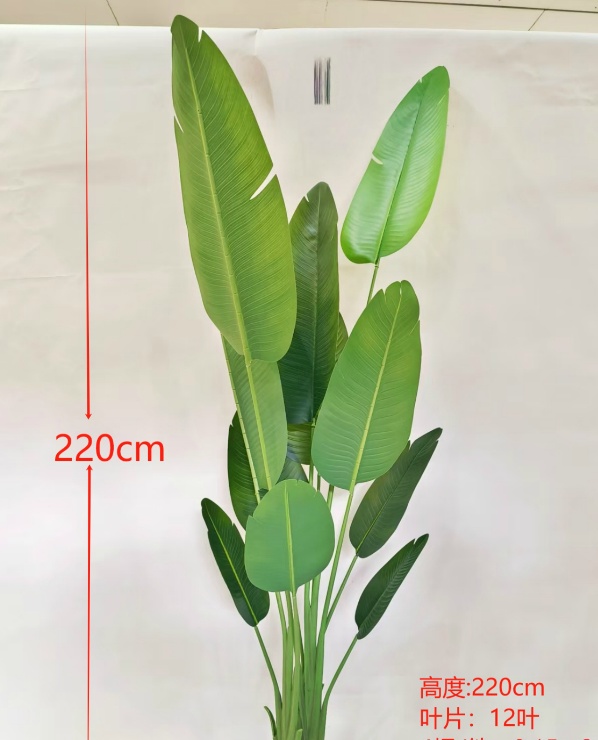 2.2m Traveler's Palm Real-Touch No Pot 3-Cane