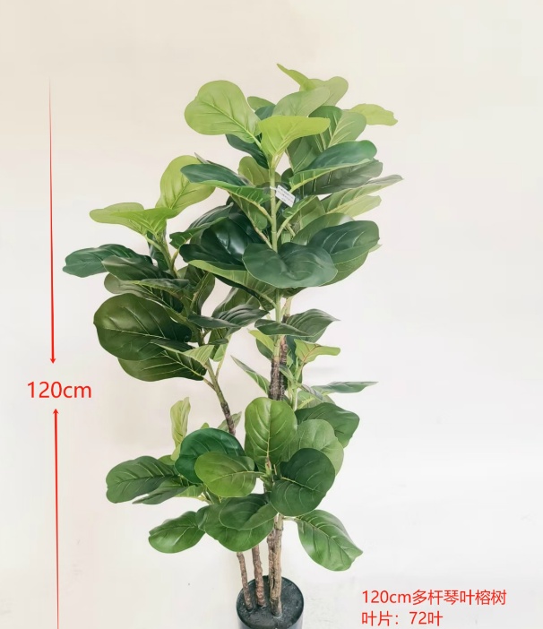 47" Ficus Lyrata Multi-Stem 72 Leaf No Pot