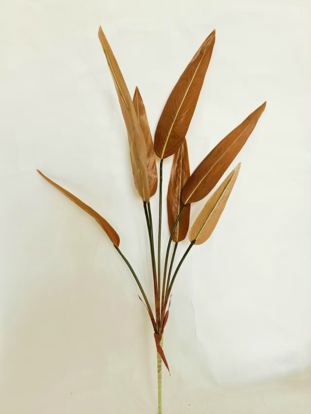 36" 7-Fork Thalia Dealbata Large Branch Bundle Real-Touch Light Coffee